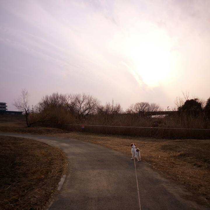 Ba6ce4e4 bc35 4914 ae0a ae4fd4a326a5 1519474439023