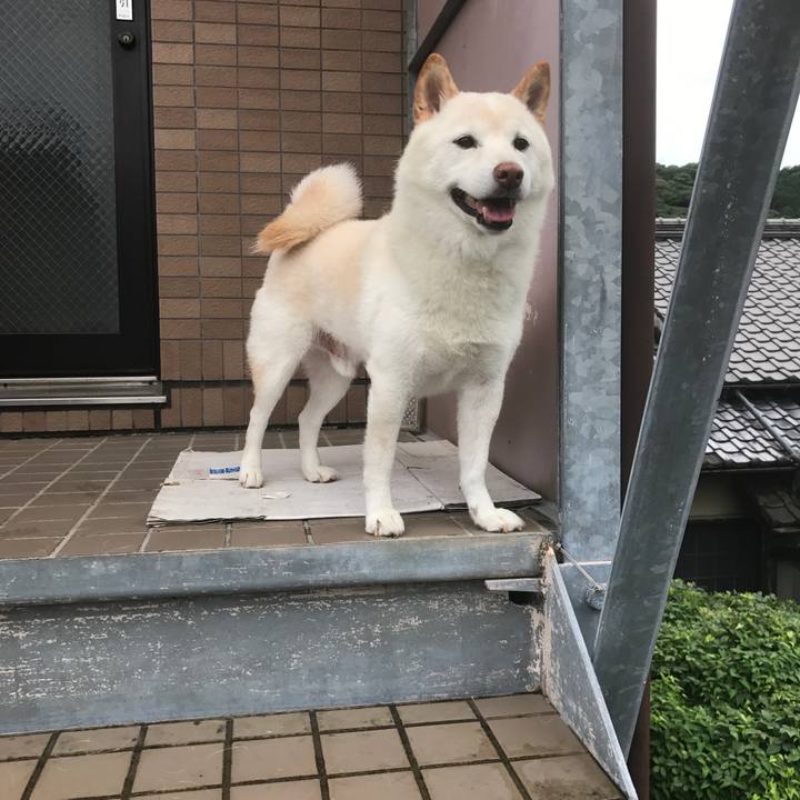 Ba6ce6c3 d277 4f48 939d d9b1262f8450 1634471206228