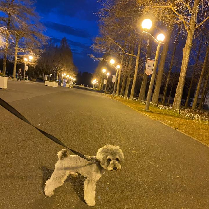 Ba6cf14d 30b7 4559 ba62 5938c71bd3ea 1613302339658