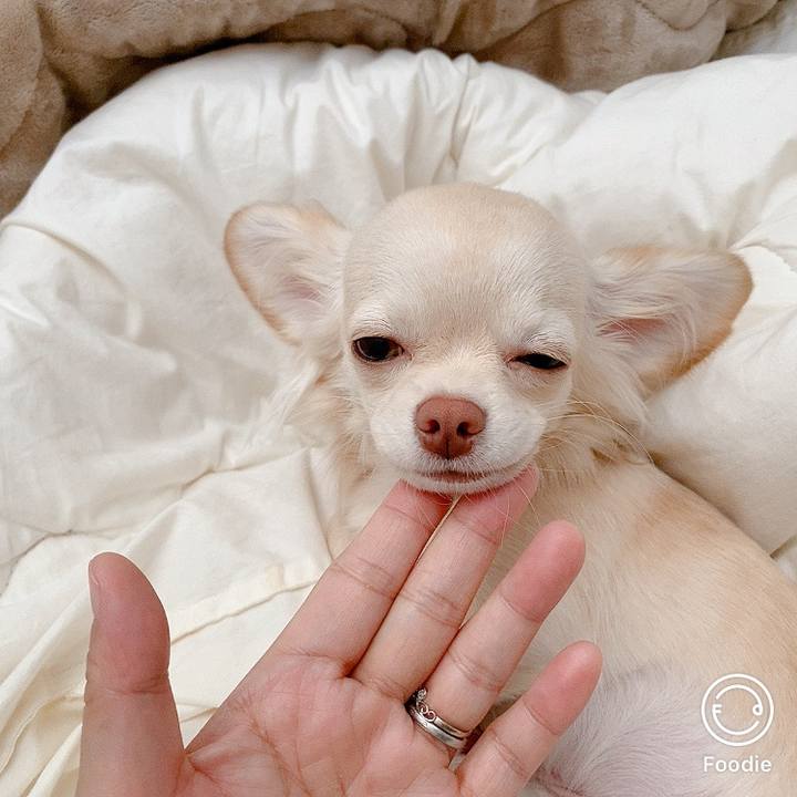 Ba6cf6ae 9290 4792 adf0 2d90371b2a15 1604540578814