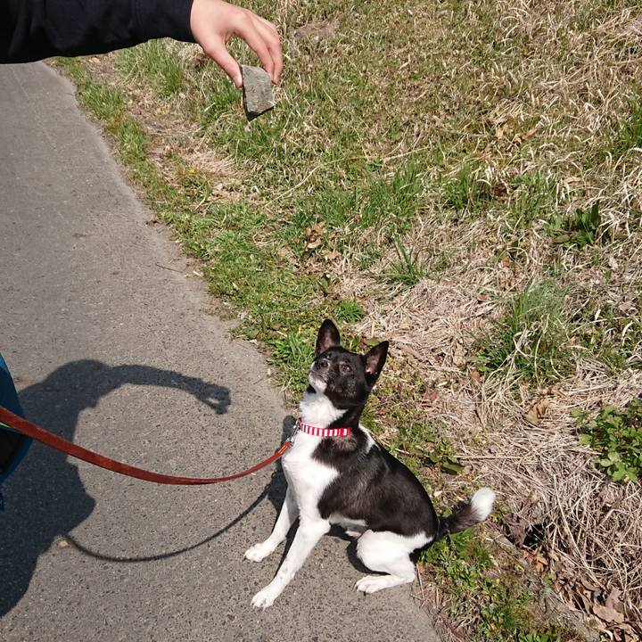 Ba6d746a f238 40d9 9189 46feb5f88125 1522057812927