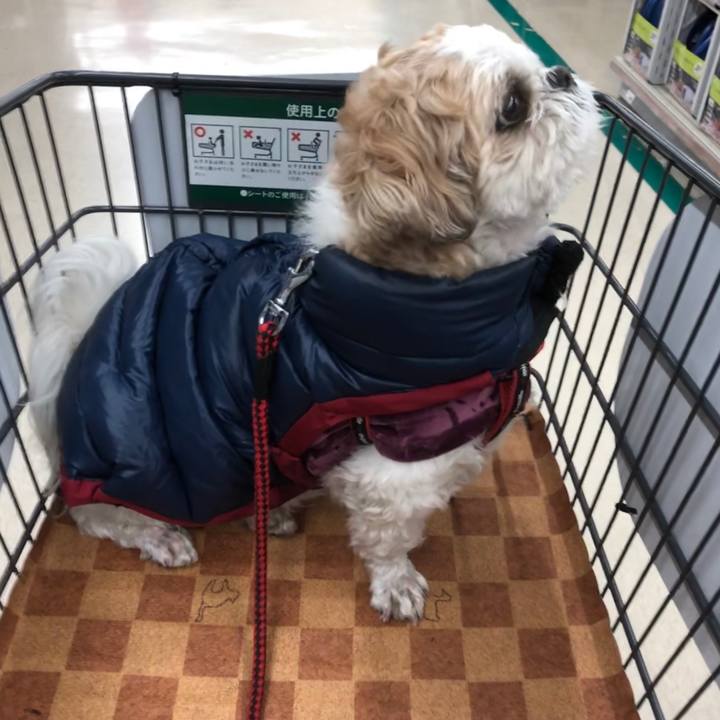 Ba6d7ab0 bb94 4e35 9ed2 9b8586dcc81f 1582062818264