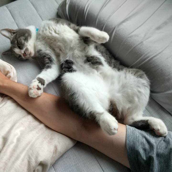 Ba6db93b 61ea 413c 9319 c1c46673fead 1624346884857