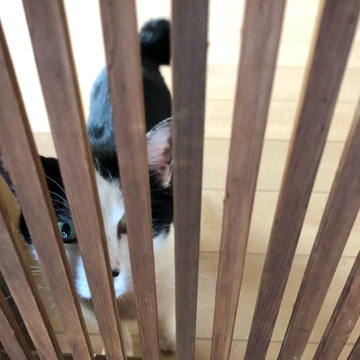 Ba6e1d11 d5f6 4a04 8d28 cc2df1455445 1570159410723