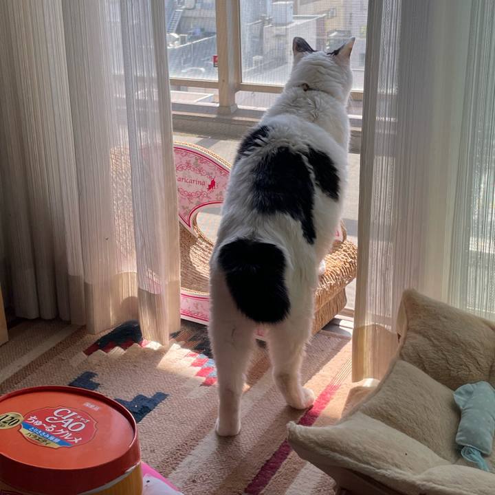 Ba6e264d 6a51 40ab a279 4aa0bb853d71 1745730733667