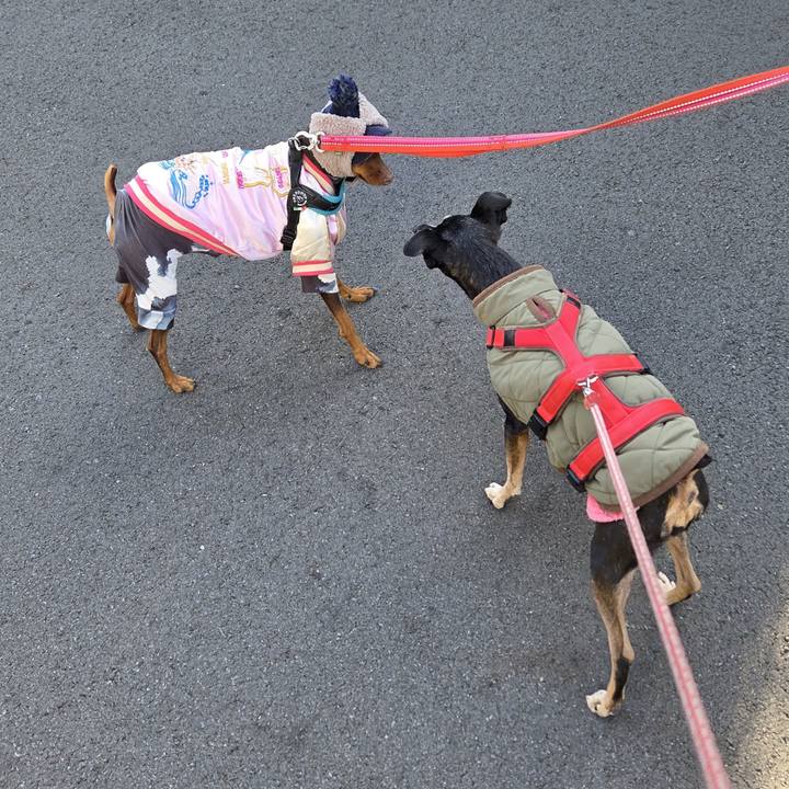 Ba6e4b93 1a91 477a 9543 ff1e43dc8349 1768698837633