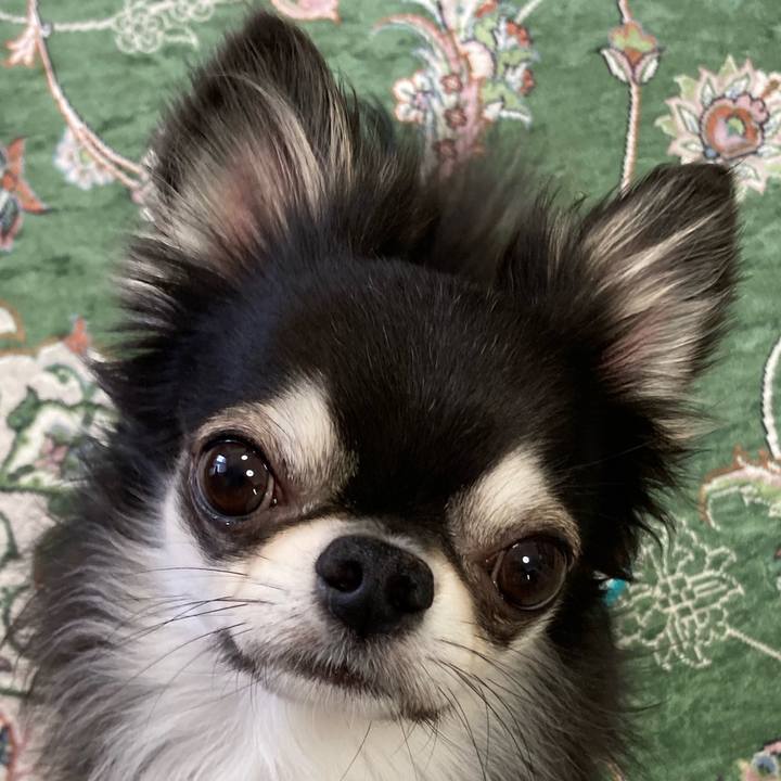 Ba6e5630 a9ac 4f80 9644 848178194941 1656198484969