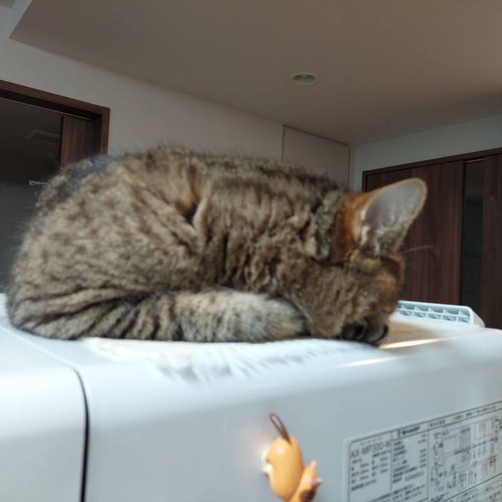 Ba6e6e3c 7c39 4727 bcca f1b366f918c0 1624829890360