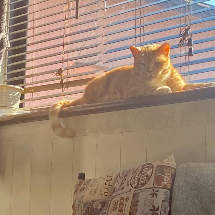 Ba6eda77 249f 4267 930f dfe7095db65a 1579588604716