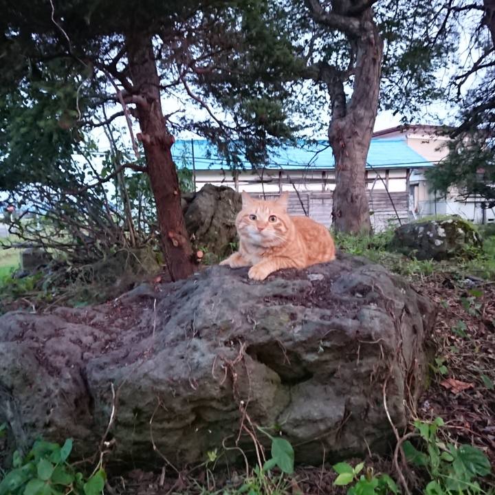 Ba6f46b9 bd1b 424c b4bb 02c8229f2b08 1657970584566