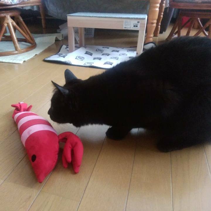 Ba6feed3 2b68 42f4 a94b 2494b45257fc 1582022260382