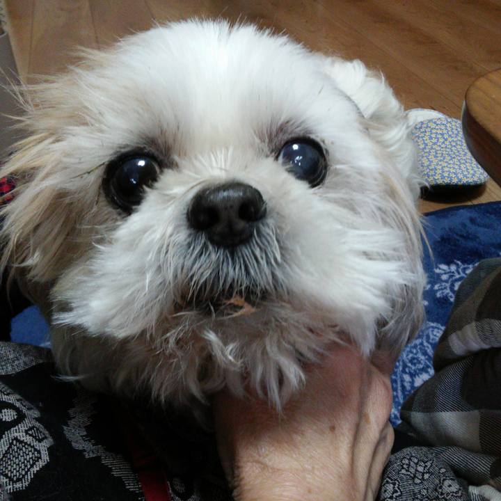 Ba70044d 226e 4eeb 98bf 3f46db7ba782 1519542115093