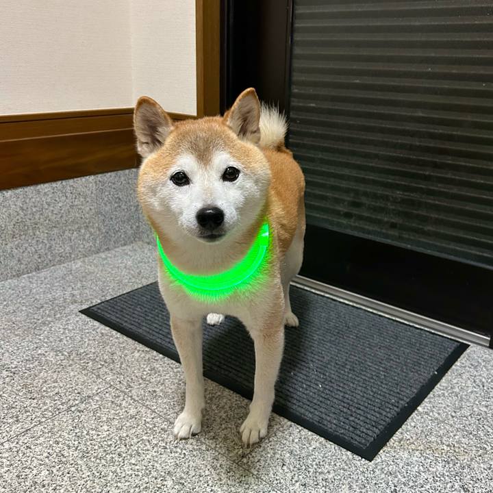 Ba70161a 6f19 41cd b472 92f6361cda78 1728039404609