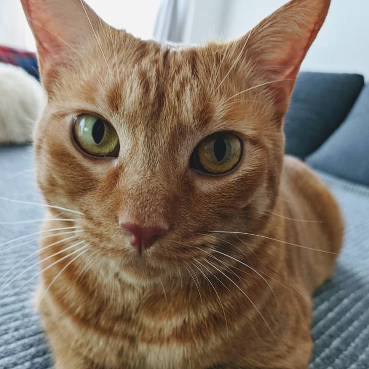 Ba702e74 d268 4b0d bf39 a2a576e1f3db 1625974924751