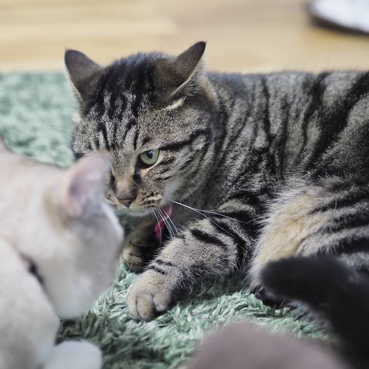 Ba704e1e f39c 417c bf37 e30d58f89002 1612440061503