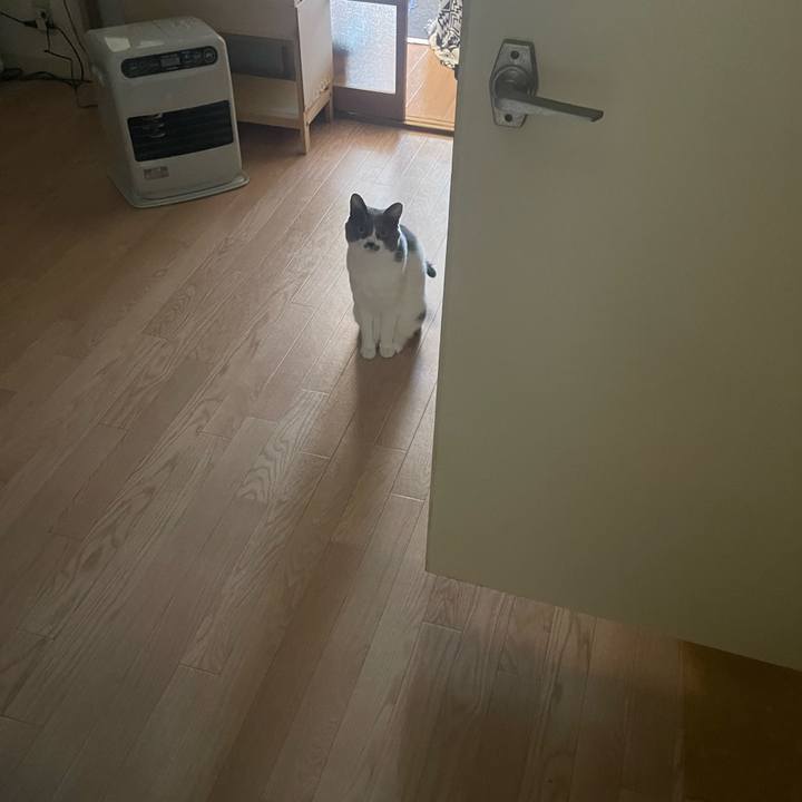 Ba706d33 611a 4d97 b22d c49c2c052c53 1679470459275