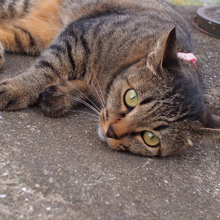 Ba707c6c aa9f 4a55 a194 0d32e7e6ad64 1534029900524