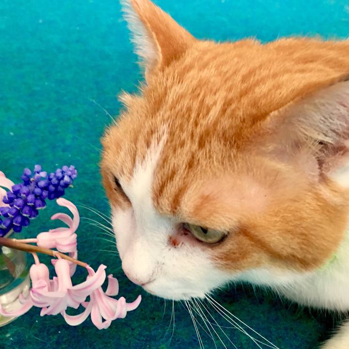 Ba70c43b 90a4 4570 bf5f 0e1b42ee6e56 1555106730081