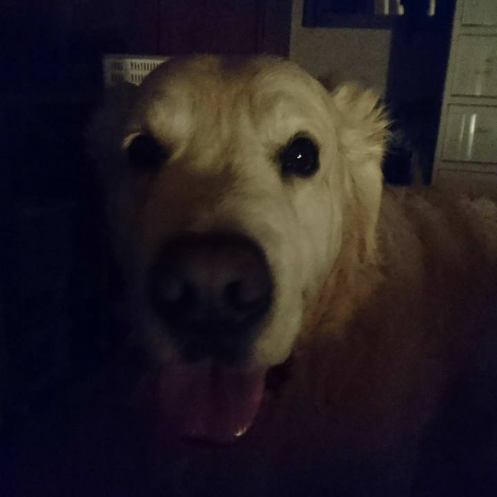 Ba70cc75 74e5 4d06 93f5 f87d74c83fc3 1520187815672