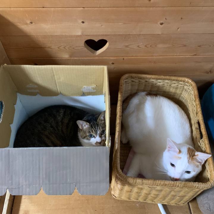 Ba70f065 12fc 43fb 8b88 cb0dd43f111f 1666820850680