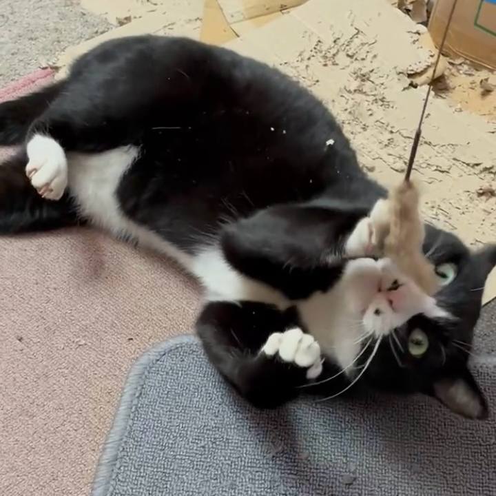 Ba7120f2 18a3 4771 8111 5a6c78b0c376 1767702106545