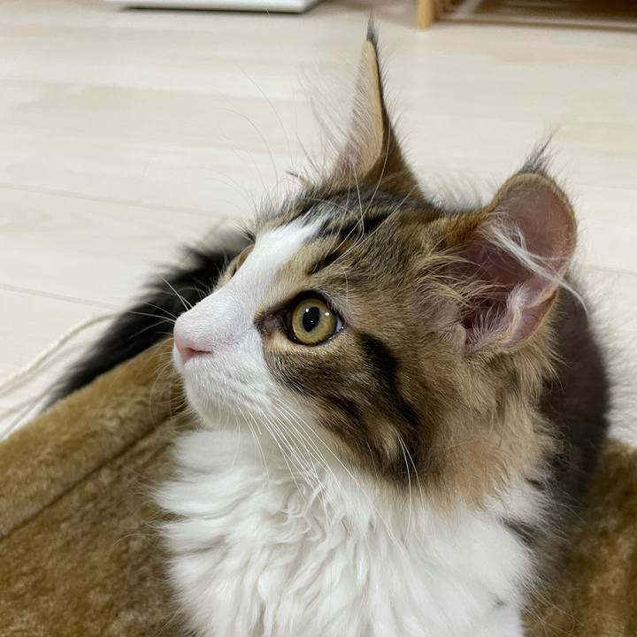 Ba71535f 075e 4836 bd79 5dd25223de0b 1633640582789