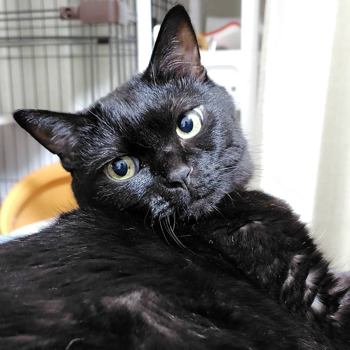 Ba718be9 9310 4ce4 b282 821714eab615 1754479763598