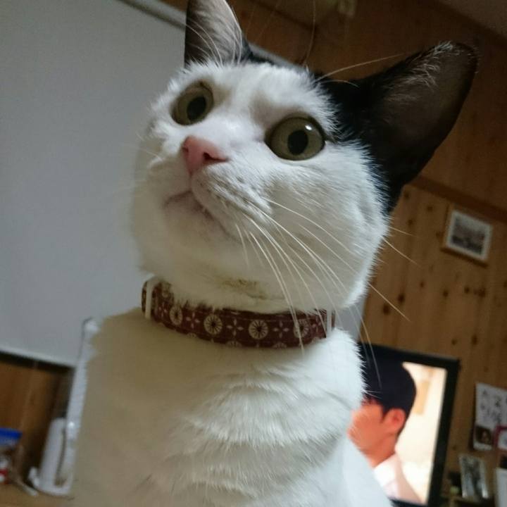 Ba71d200 3952 4715 a040 3ed65e6f3827 1513346056782