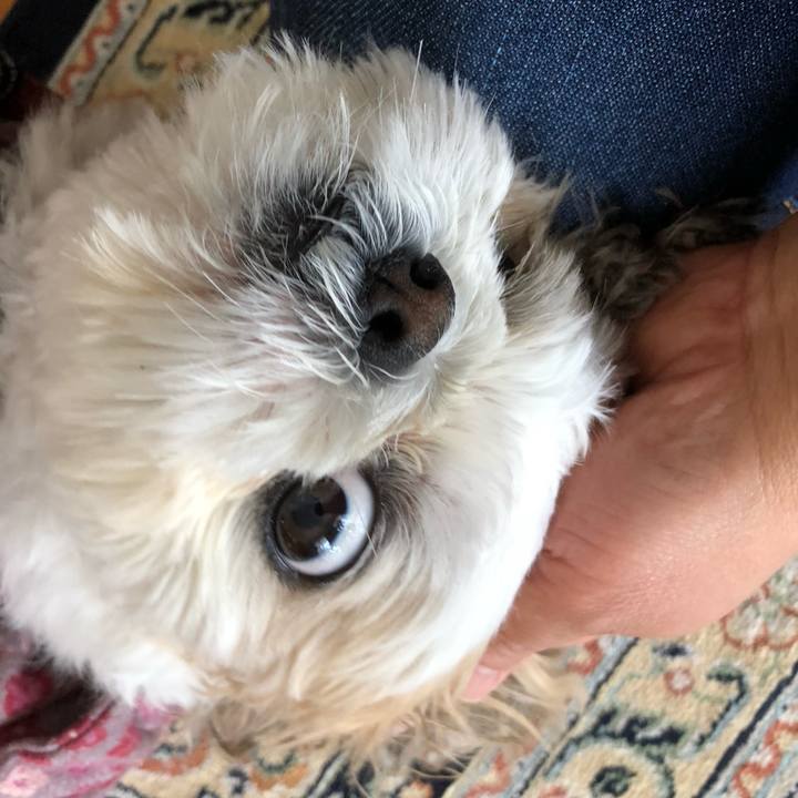 Ba720615 1384 43bb b6f7 ea752edd13f1 1557784180400