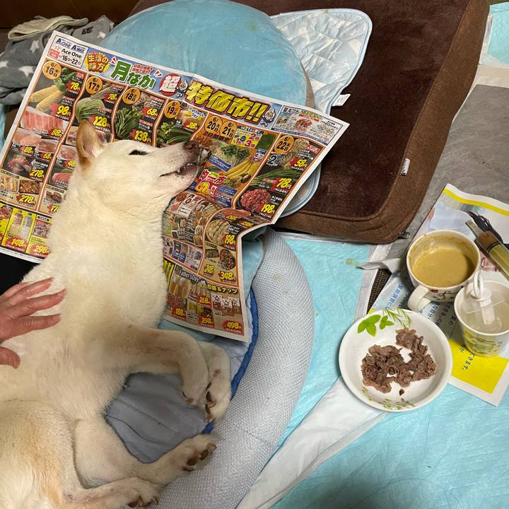 Ba724991 0c36 4482 9b54 6bef87d6c1a7 1655739854221