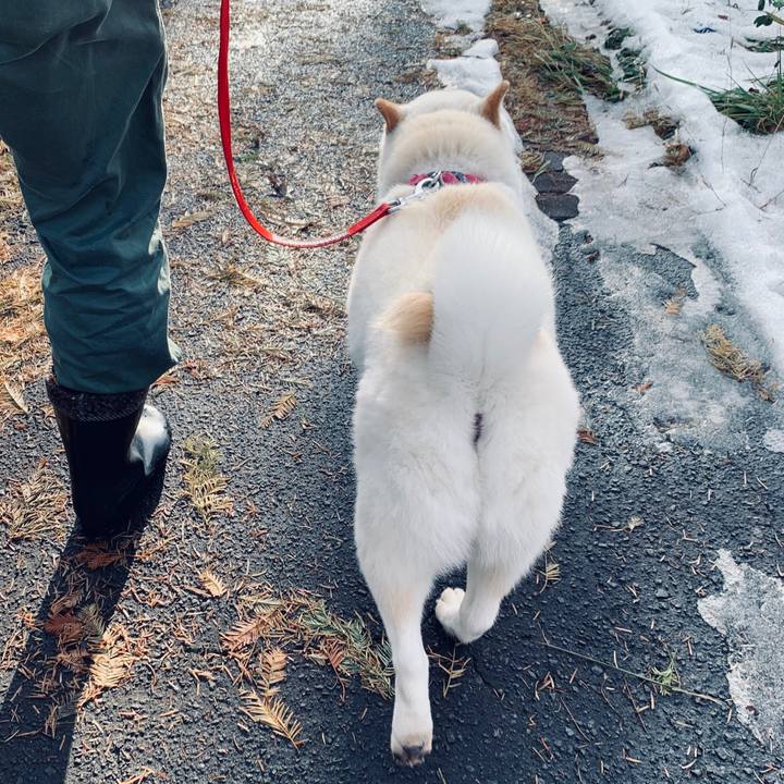 Ba72616f 53ea 44a3 a459 55e4632f45d8 1574555634523