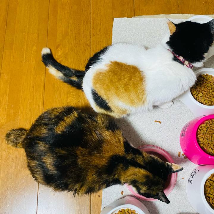 Ba726fe1 6b80 4831 8738 ea3e614664c3 1653777670346