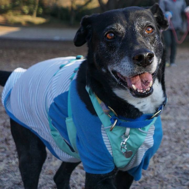 Ba7273ab 0f98 4b2d ae70 7ca4e6380c27 1771029918949