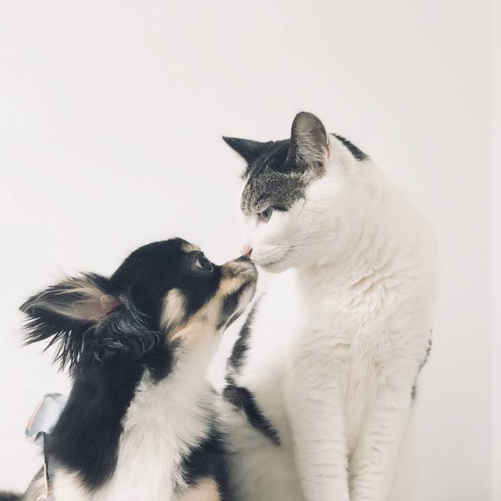 Ba7288a3 ffb6 4ae9 8b35 2153ad5a42e4 1565435653768