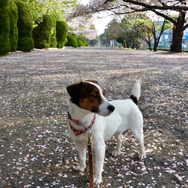 Ba72ea5b 63fa 4051 8901 3b01e4d09f33 1541158628045