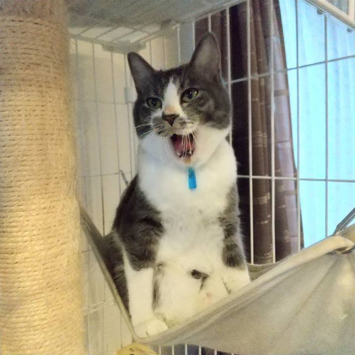 Ba732f53 102f 4e3f 836b d6f686a86676 1606635793545