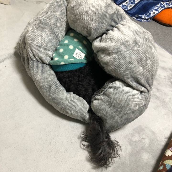 Ba733e7a a66d 4b37 947e 911f626a66f1 1605579628841