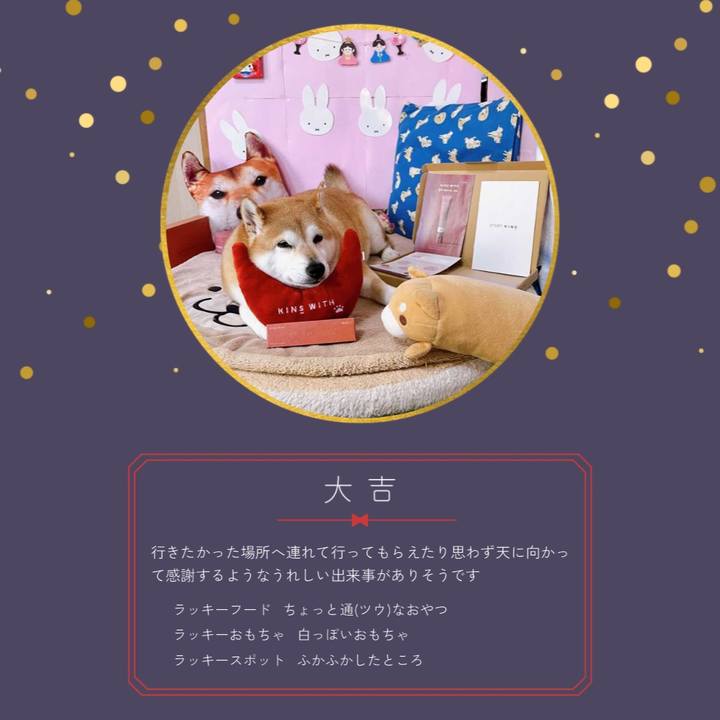 Ba736da5 eecd 4ddc 88b0 f54da58fff33 1706918865835