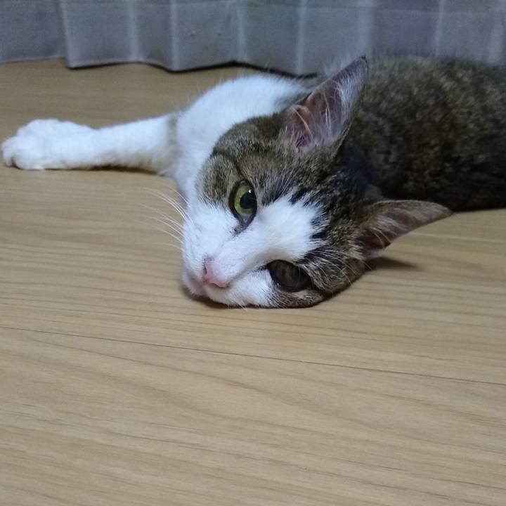 Ba738076 8d2d 4610 8ac6 c6c63efee077 1566912725981