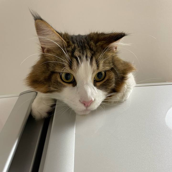 Ba7388e7 3afd 496b 8cce a77f94e60198 1661639014774