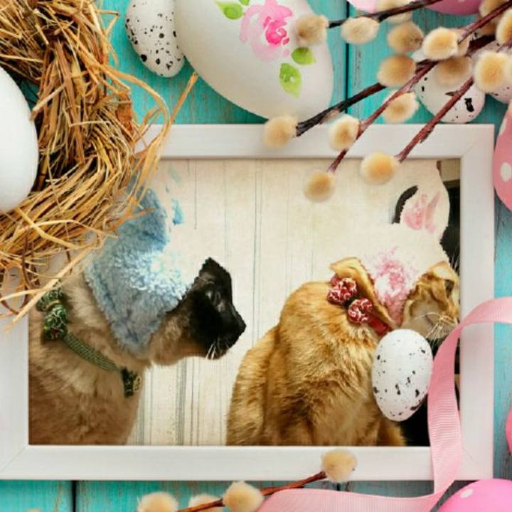 Ba739775 9498 4630 a100 717001e65246 1522573561010