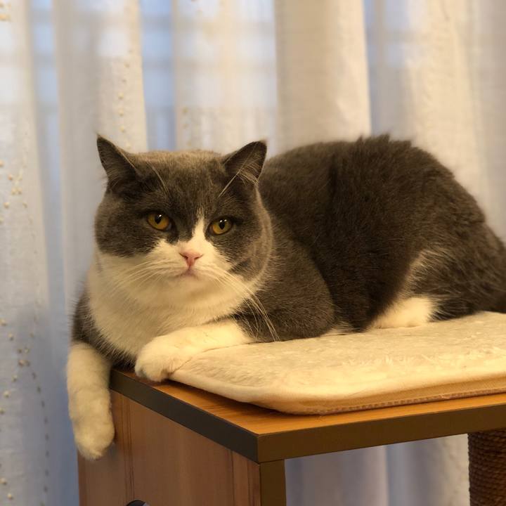 Ba7399e6 bb09 47f9 ab0f 544f8759b9ea 1547540575646