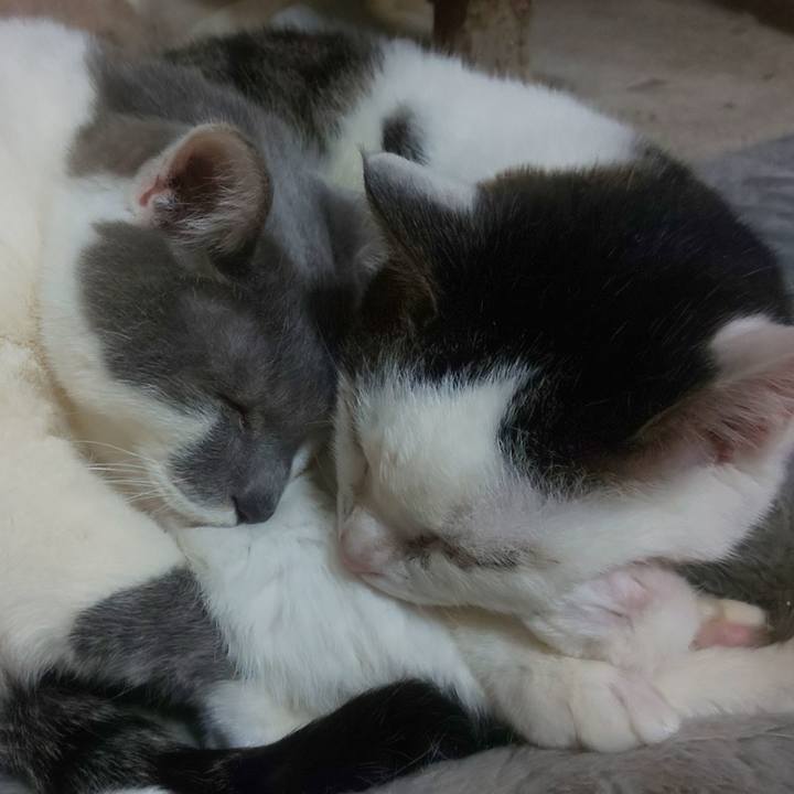 Ba73b5b0 c597 4d4a add9 38c6714b1616 1750774558746