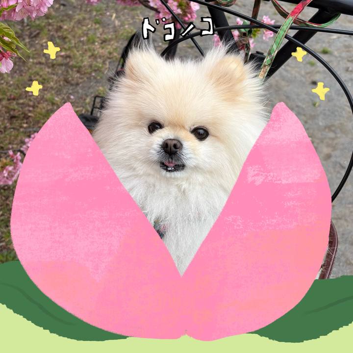 Ba741c70 5435 4df6 8fd3 cc4f97a6e9a0 1772466191045