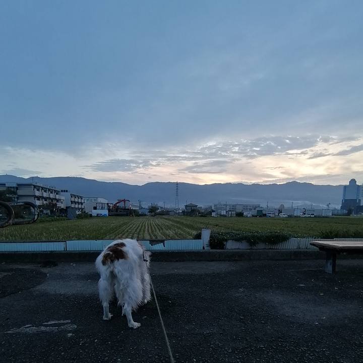 Ba7470db 7897 434a 9f1a 04685377496c 1574639812364