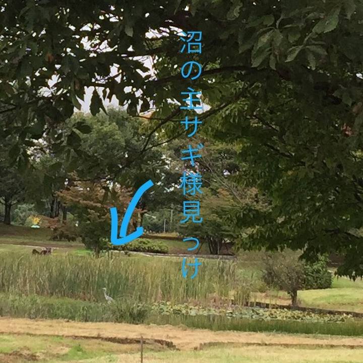 Ba74f55d df2b 4598 9a9d c28d3a07fbab 1508479764858