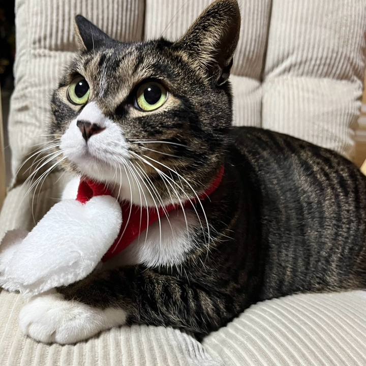 Ba750634 eaad 4636 92ca 85f39223b4dc 1766716955433