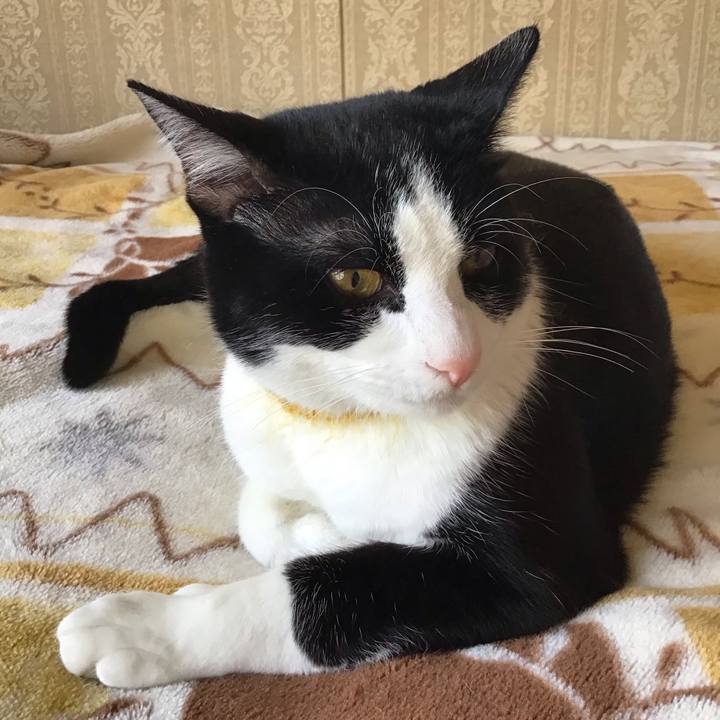 Ba750a06 5a4a 4c7f a583 1eaea101f793 1648683691013