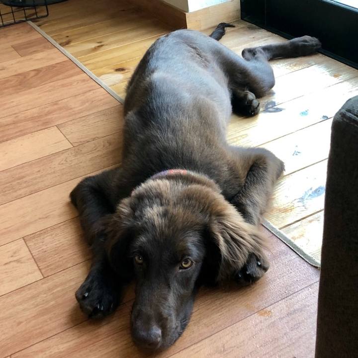 Ba755f32 f685 4ad6 a5fe d54e88d58bcd 1558561592701