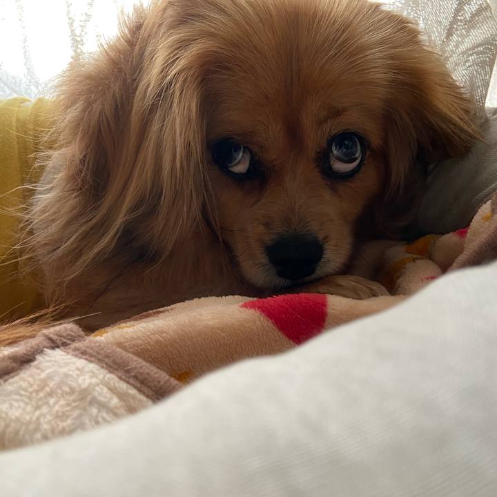 Ba756019 58df 4c9c aca2 551c87fc61af 1617056038848